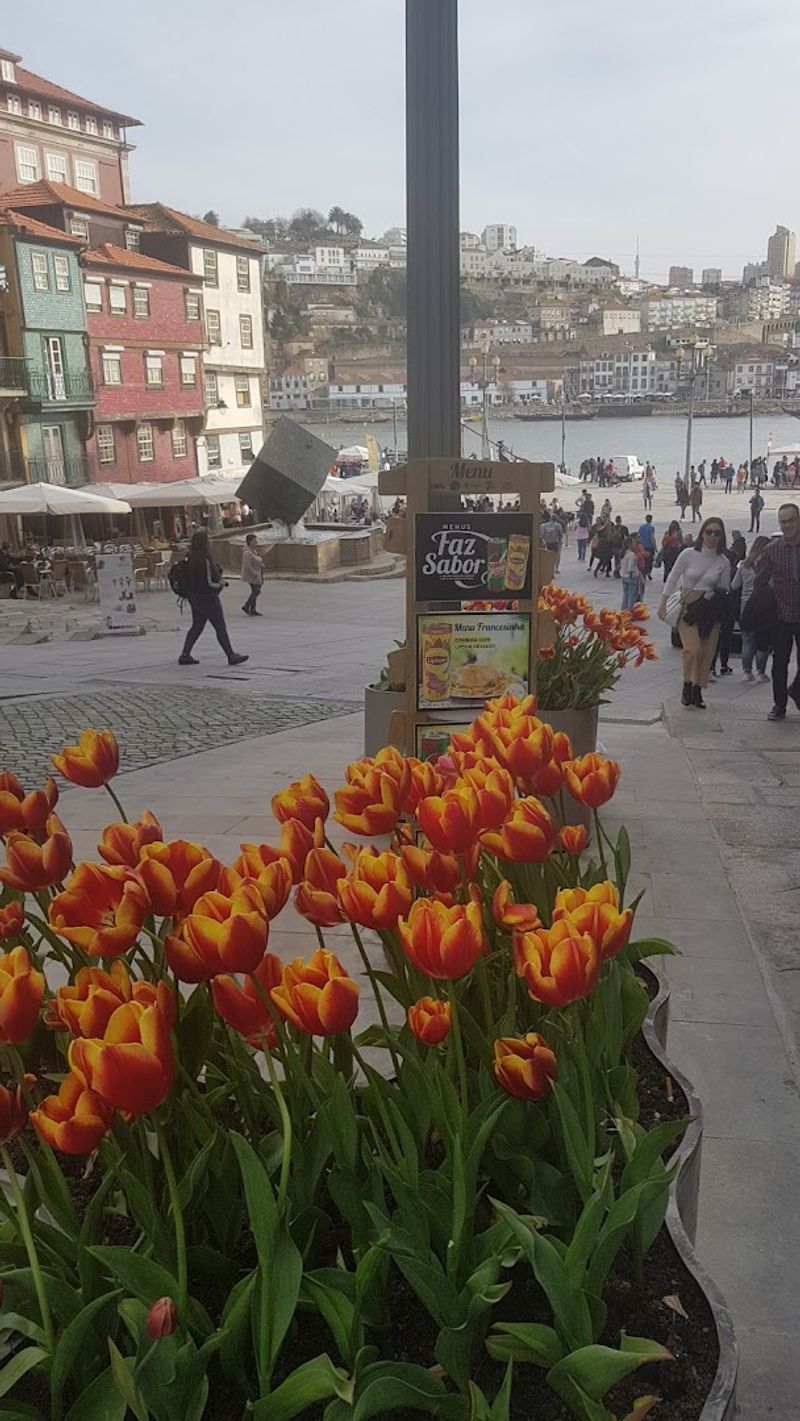 Porto, Portugal