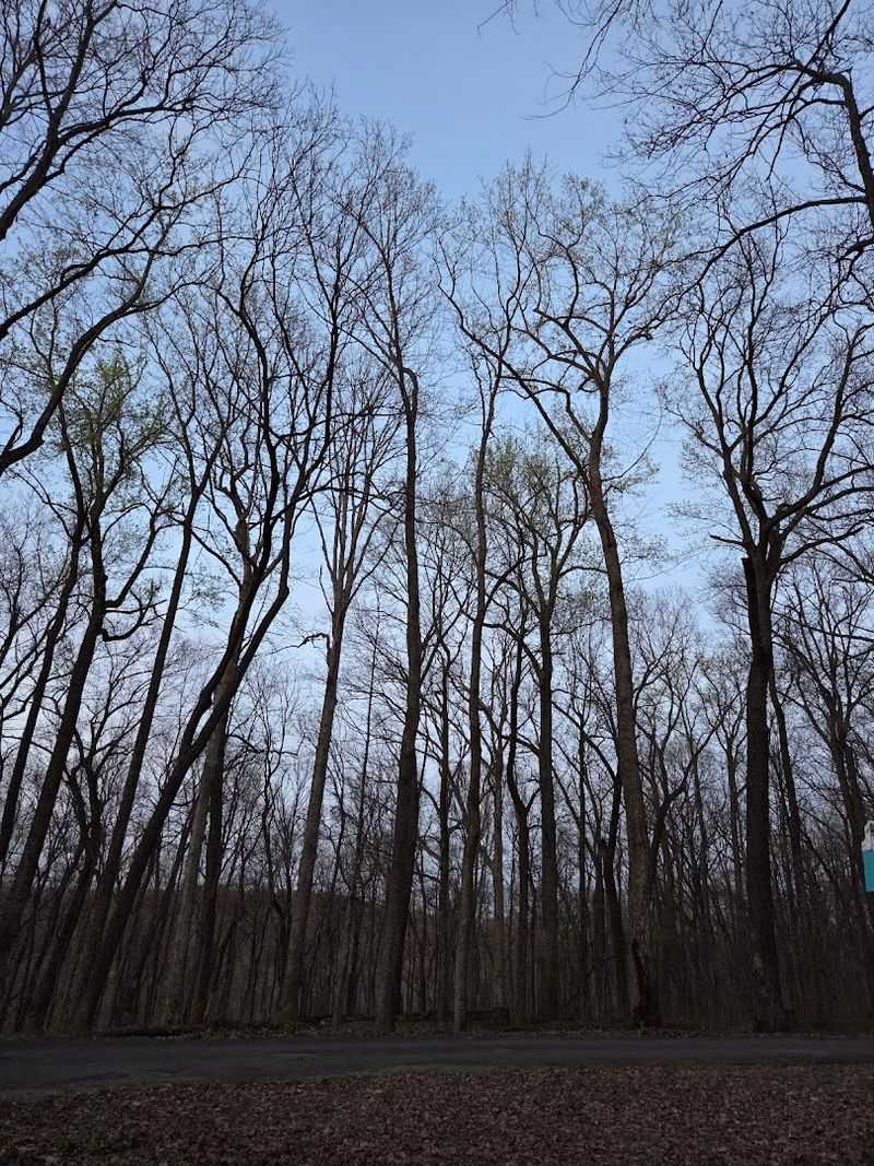 Pounds Hollow Recreation Area