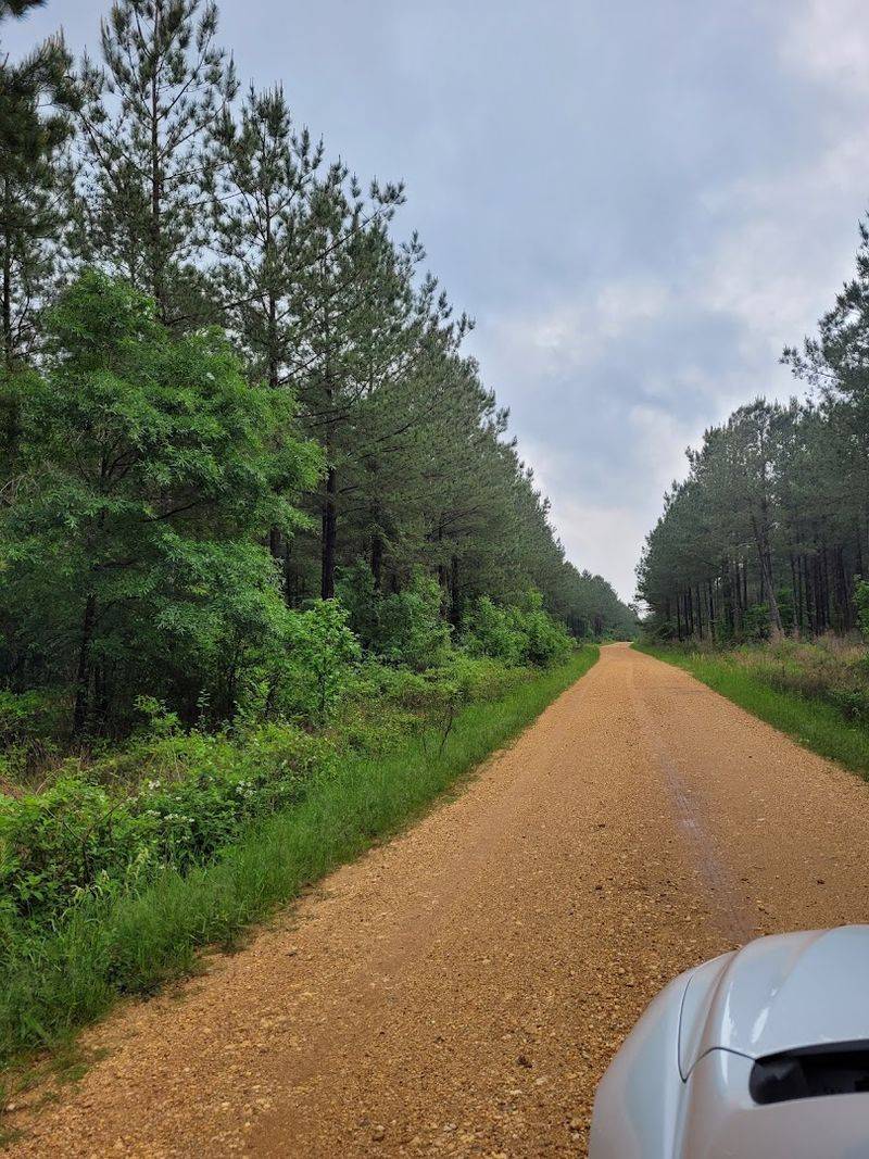 Practical Tips for Planning Your Trip