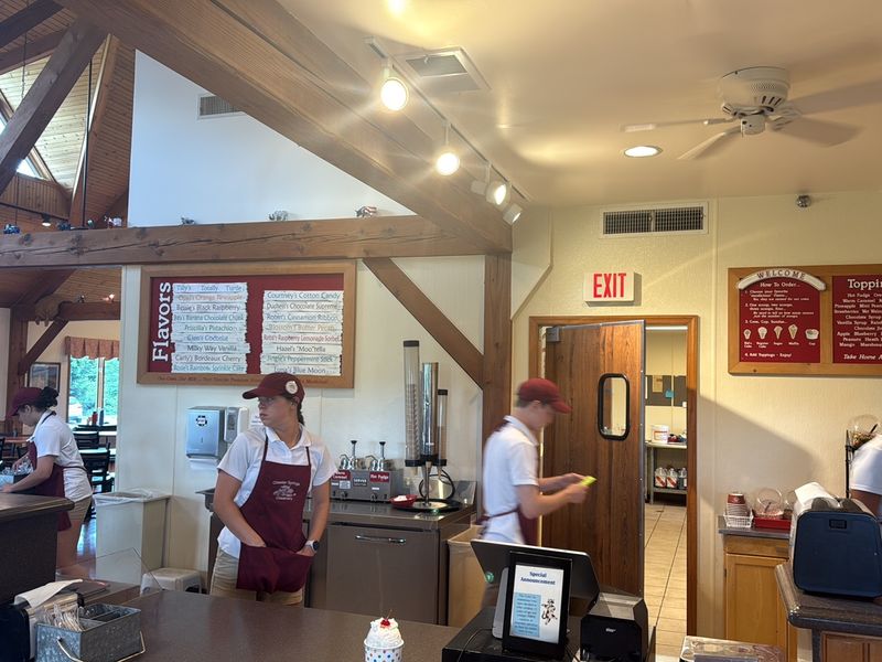 Practical Tips for Your Visit: Hours, Pricing, and What to Expect
