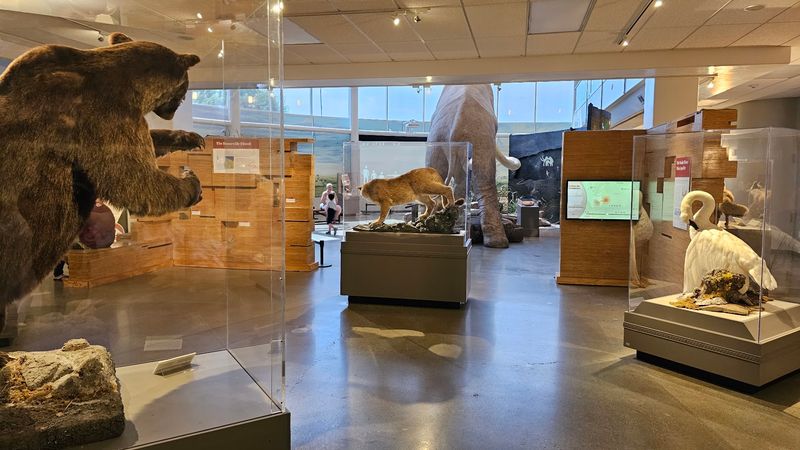 Practical Tips to Get the Most From Your Visit