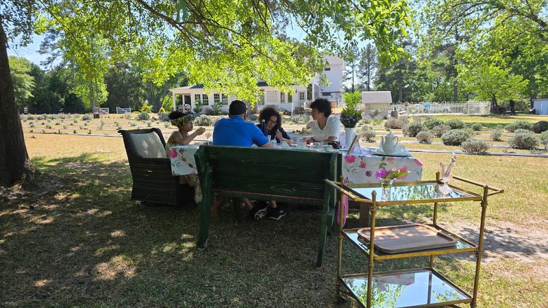 Private Picnics for Special Occasions Private Picnics for Special Occasions