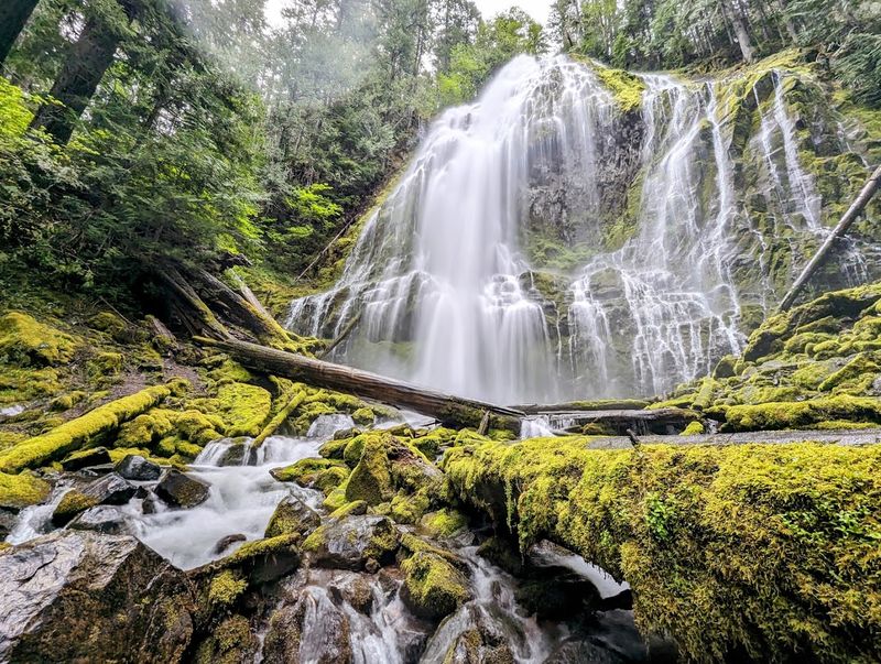 Proxy Falls Loop — Willamette National Forest Proxy Falls Loop — Willamette National Forest
