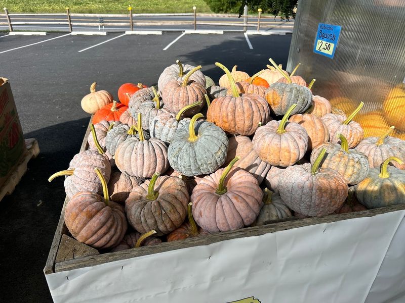 Pumpkins, Fall Decor, and the Best Excuse for an Autumn Drive Pumpkins, Fall Decor, and the Best Excuse for an Autumn Drive