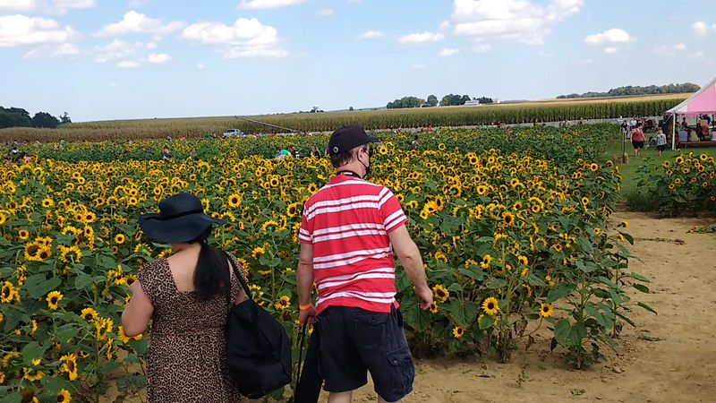 Ramseyer Farms - Wooster Ramseyer Farms - Wooster