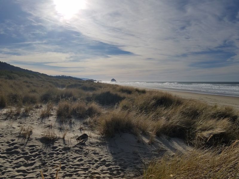 Reaching the Beach: A Quiet Stretch of Sand Most Tourists Miss Reaching the Beach: A Quiet Stretch of Sand Most Tourists Miss