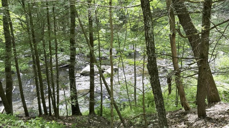 Recent Improvements That Changed the Trail
