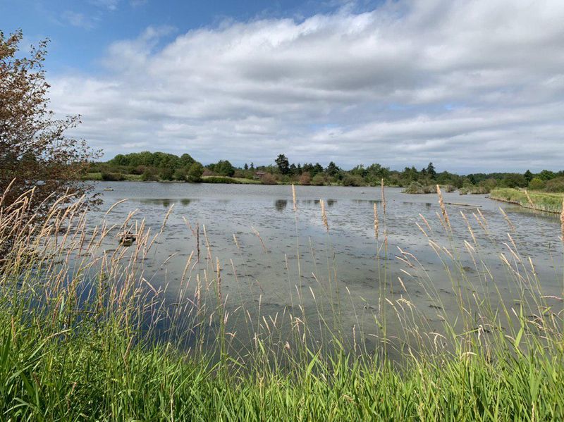 Reifel Migratory Bird Sanctuary, Delta, British Columbia, Canada Reifel Migratory Bird Sanctuary, Delta, British Columbia, Canada
