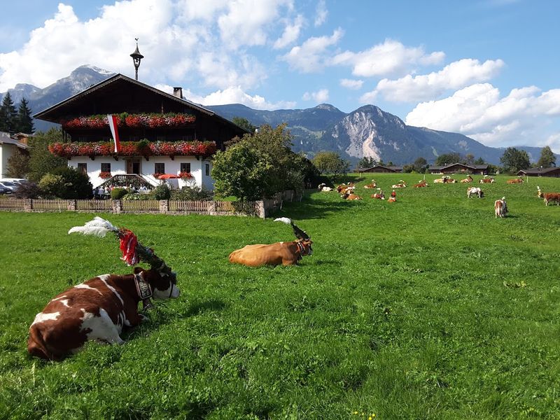 Reith im Alpbachtal, Tyrol, Austria