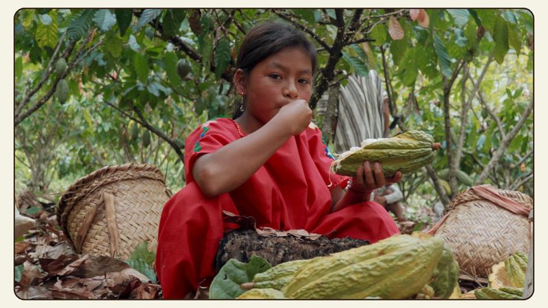 Remote Amazon Communities in Peru, Brazil, and Colombia