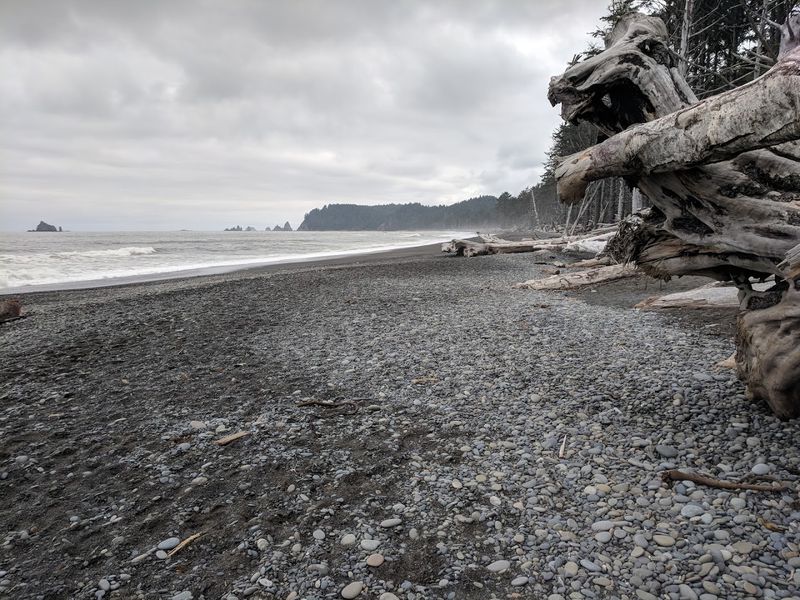 Rialto Beach, Olympic National Park, Washington Rialto Beach, Olympic National Park, Washington