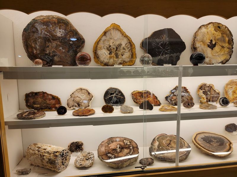 Rice Northwest Museum of Rocks and Minerals (Hillsboro) Rice Northwest Museum of Rocks and Minerals (Hillsboro)