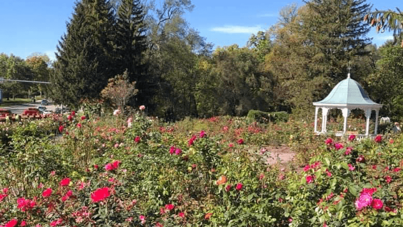 Richmond Rose Garden, Richmond, Indiana Richmond Rose Garden, Richmond, Indiana