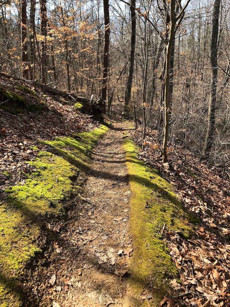 Ridge Trails That Actually Challenge You