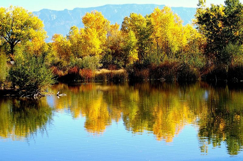Rio Grande Nature Center State Park, Albuquerque Rio Grande Nature Center State Park, Albuquerque