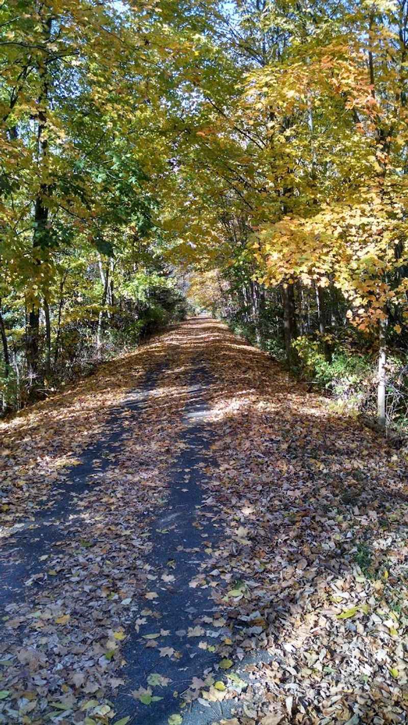 Rollerblading and Walking: Other Ways to Enjoy the Path Rollerblading and Walking: Other Ways to Enjoy the Path