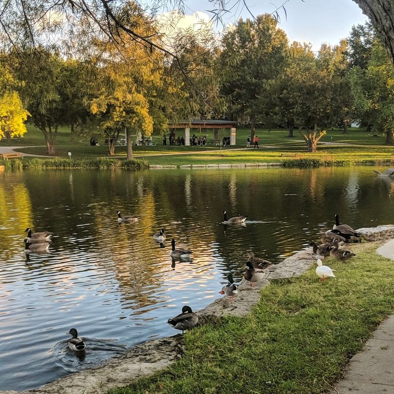 Rose's Pond: Fishing, Turtles, Ducks, and a Stone Bridge Rose's Pond: Fishing, Turtles, Ducks, and a Stone Bridge