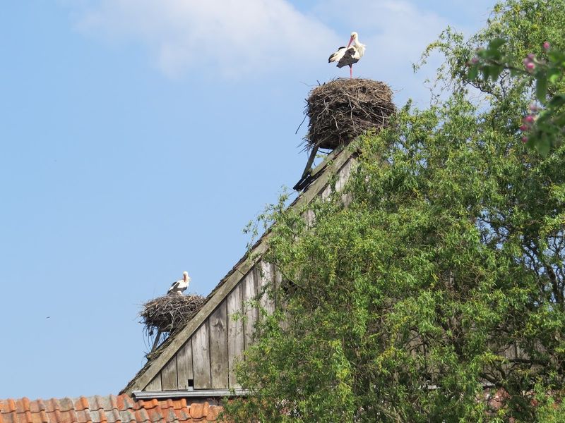 Rühstädt, Brandenburg, Germany