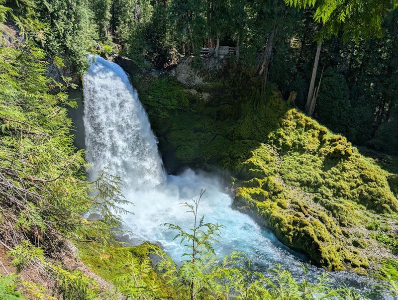 Sahalie and Koosah Falls: A Two-for-One Waterfall Loop