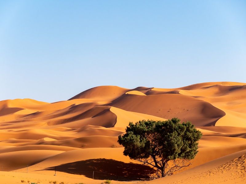 Sahara Desert (Erg Chebbi) - Morocco Sahara Desert (Erg Chebbi) - Morocco