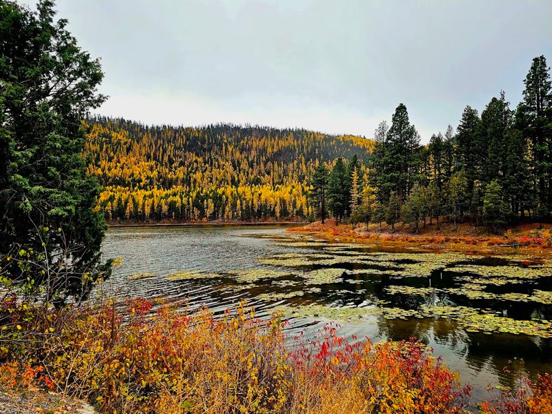Salmon Lake State Park, Seeley Lake, Montana
