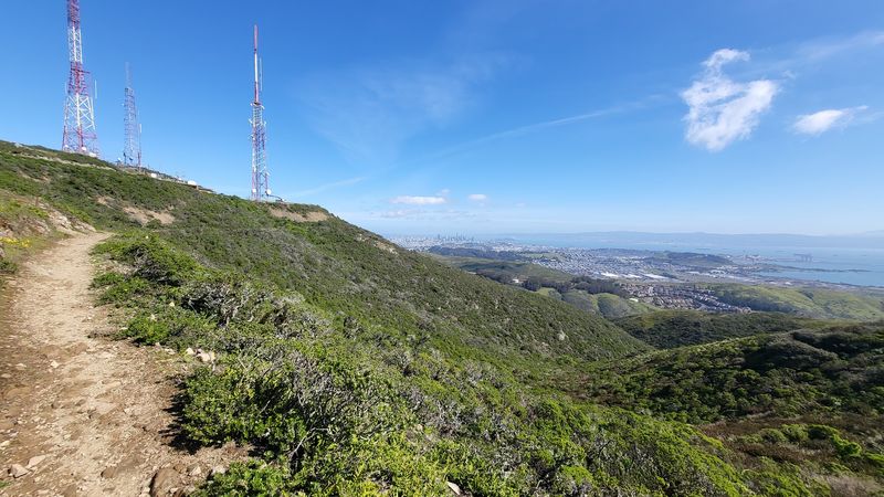 San Bruno Mountain State And County Park, Brisbane, California