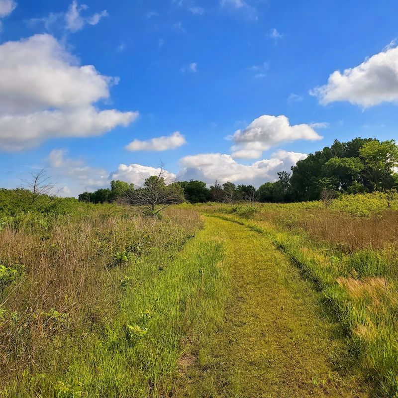Sand Hills State Park, Hutchinson, Kansas