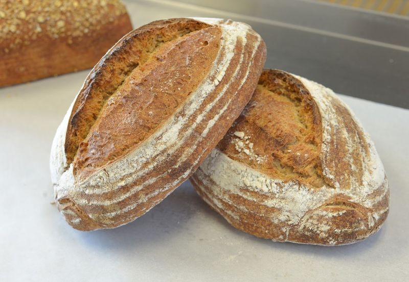 Savory Sourdough Flavors That Go Well Beyond Plain Savory Sourdough Flavors That Go Well Beyond Plain