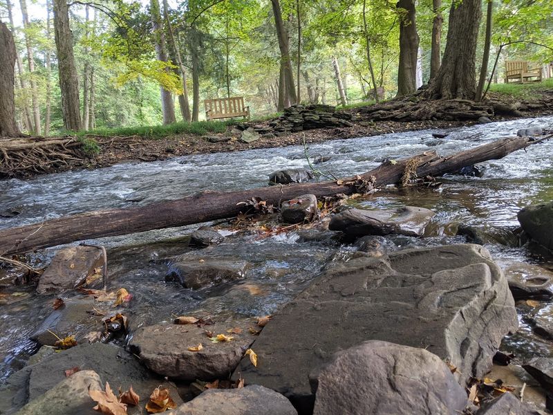 Scenic Grounds and the Peaceful Stream That Surprises Everyone Scenic Grounds and the Peaceful Stream That Surprises Everyone