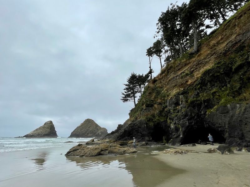 Sea Lion Caves Sea Lion Caves
