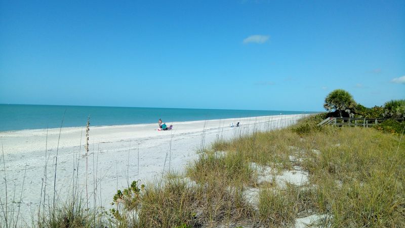 Sea Turtle Nesting Season on the Island