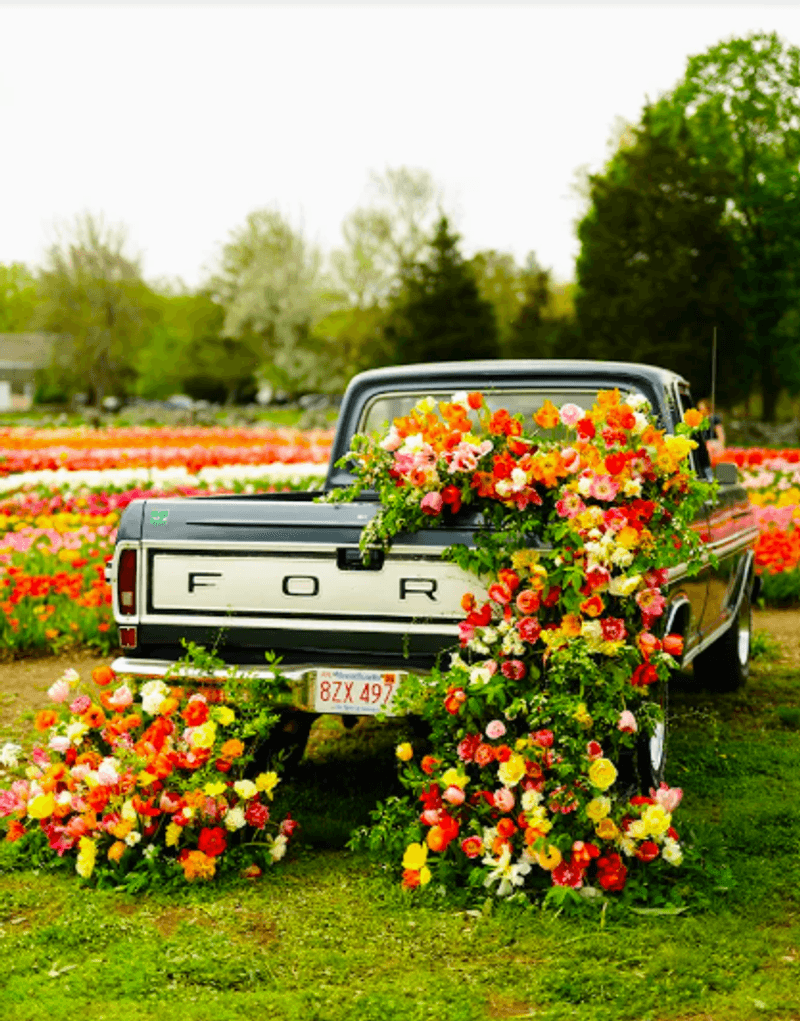 Seasonal Blooms and What to Expect Seasonal Blooms and What to Expect