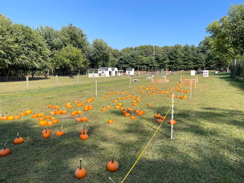 Seasonal Events That Keep Things Interesting Seasonal Events That Keep Things Interesting