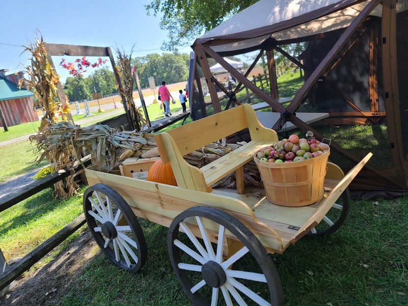 Seasonal Events That Keep Visitors Coming Back