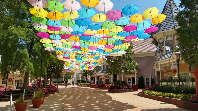 Seasonal Festivals That Keep Locals Coming Back Seasonal Festivals That Keep Locals Coming Back