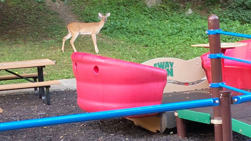 Seasonal Programs and Year-Round Accessibility