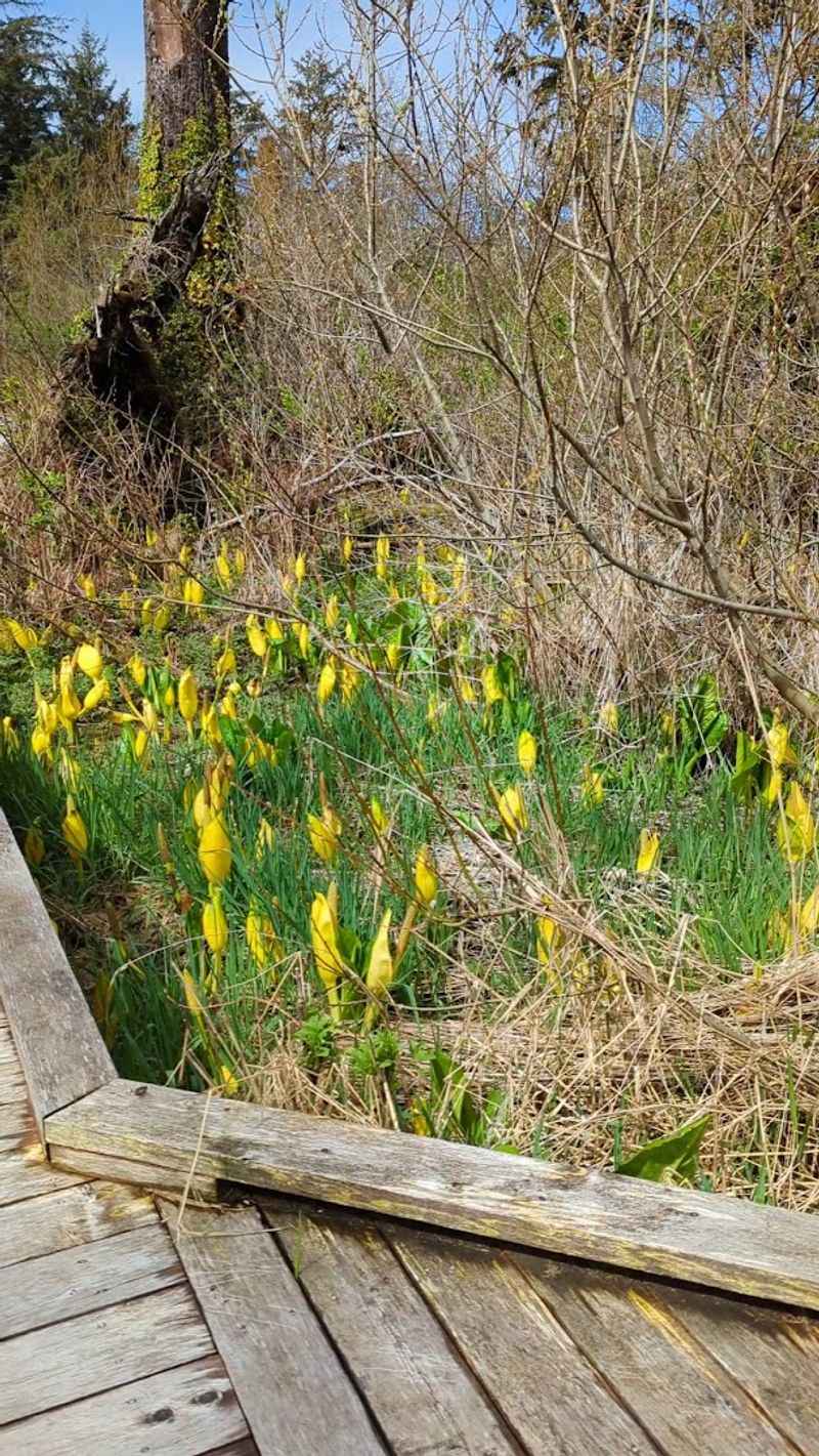Seasonal Visits: How the Trail Changes Through the Year Seasonal Visits: How the Trail Changes Through the Year