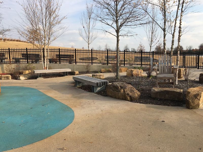 Seating, Shade, and What to Expect for Adults