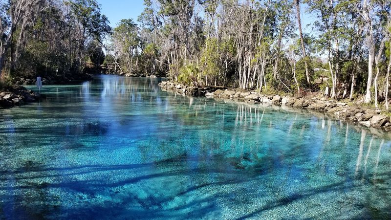 See Manatees At Crystal River National Wildlife Refuge, Florida