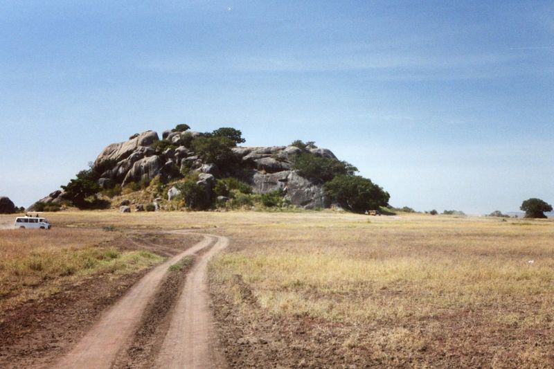 Serengeti National Park, Mara Region, Tanzania