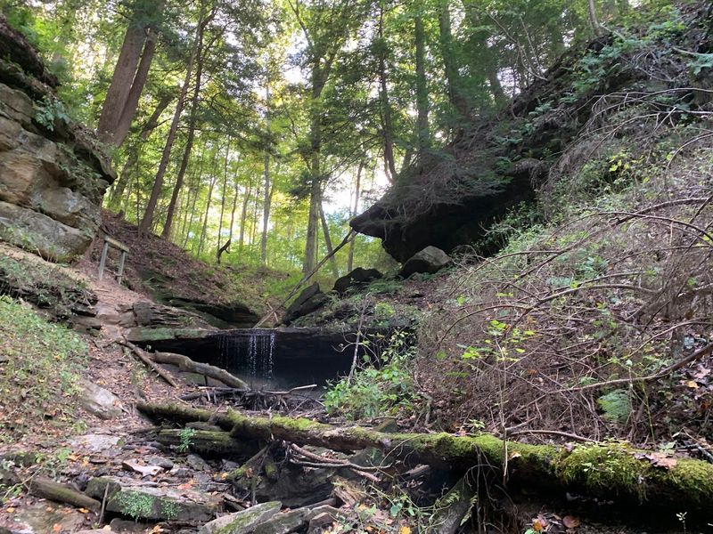 Shades State Park, Waveland Shades State Park, Waveland