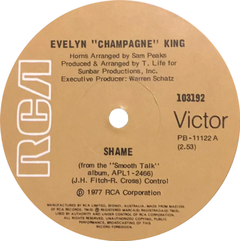 Shame by Evelyn Shame by Evelyn