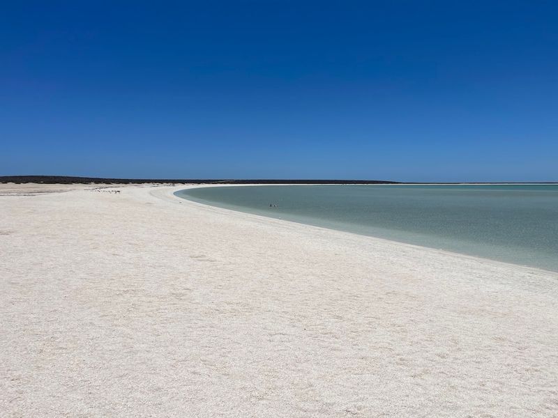 Shell Beach, Shark Bay, Western Australia Shell Beach, Shark Bay, Western Australia