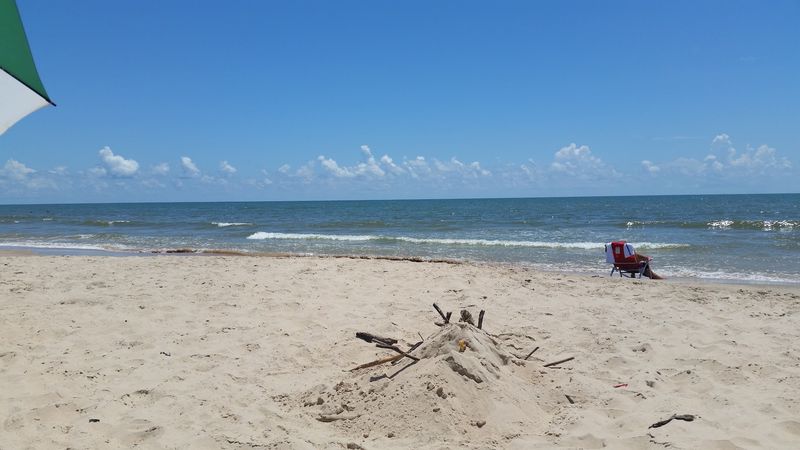 Shelling Along the Texas Coast