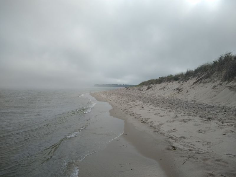 Shells, Driftwood, and Things to Find Along the Shore