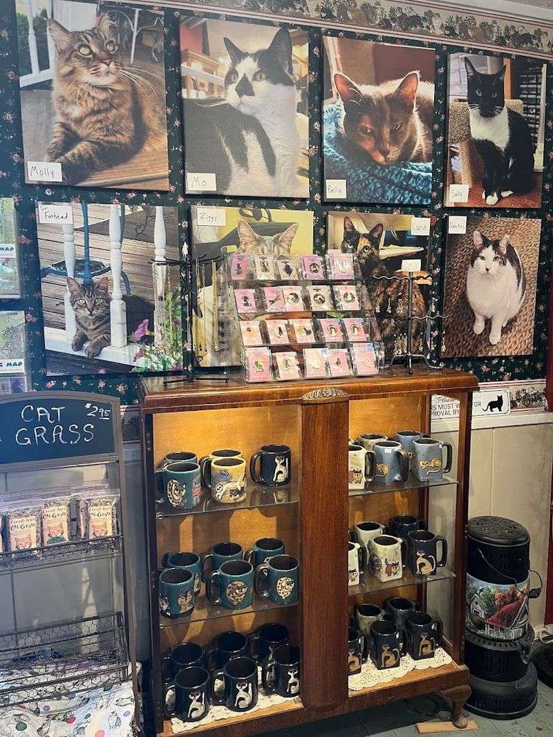 Shelves Packed With Cat-Themed Treasures Shelves Packed With Cat-Themed Treasures