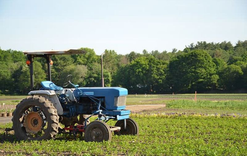 Shop At A Lexington Farm That Has Been Growing Since 1884 Shop At A Lexington Farm That Has Been Growing Since 1884