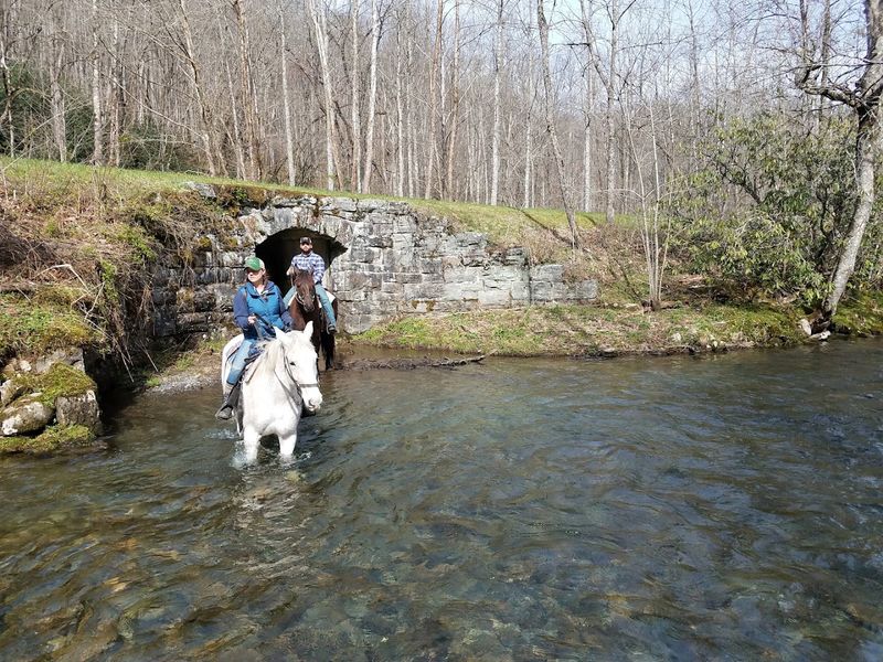 Shorter River-Crossing Adventures Shorter River-Crossing Adventures