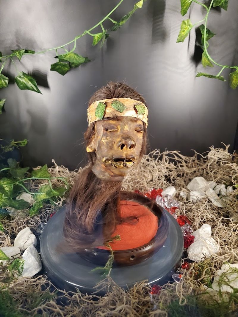 Shrunken Heads and the Stories Behind Them Shrunken Heads and the Stories Behind Them