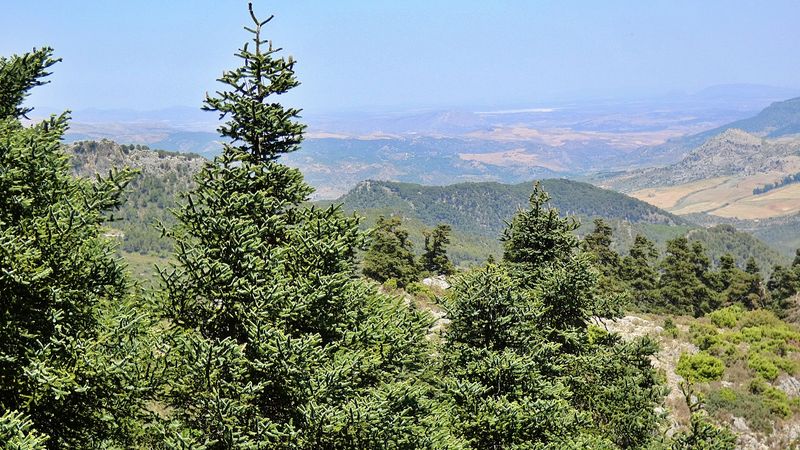 Sierra de las Nieves National Park Sierra de las Nieves National Park